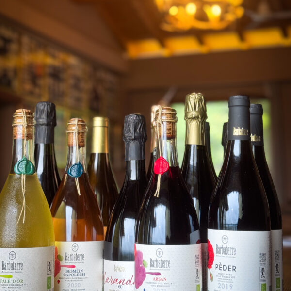 Degustazione Vini Barbaterre: 12 bottiglie a €190